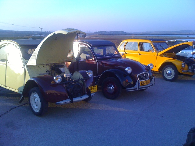 2cv דהשבו